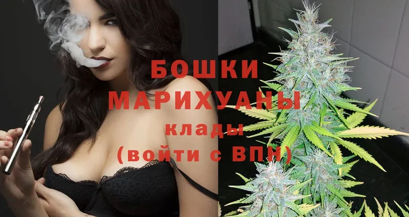 магазин продажи наркотиков  Гурьевск  Канабис Ganja 